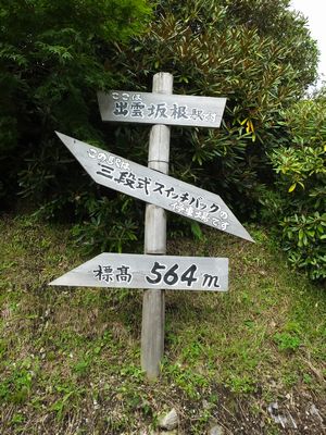 OiXCb`obN̕\