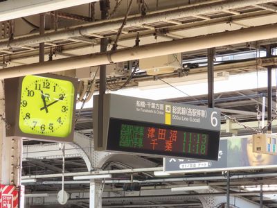 �H�t���w�̕\����