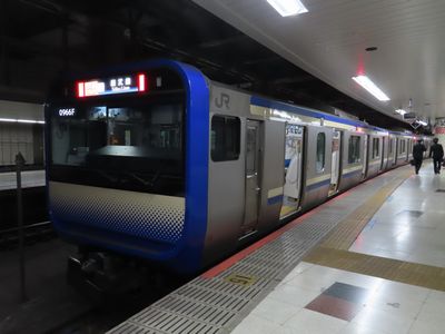 �����w�̑�������