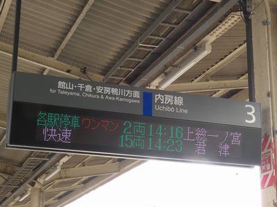 �؍X�Éw�̕\����