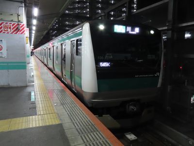 �ԉH�w�̍鋞��