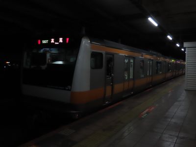 ����w�̒���������