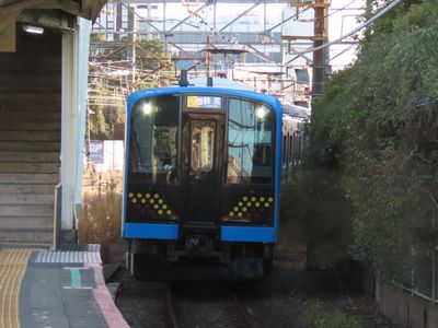 �l���w�̒ߌ���