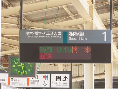 ������w�̕\����