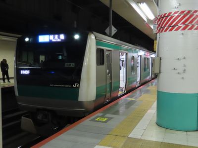 ��{�w�n���z�[���̐�z��