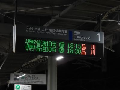 �F���w�̕\����